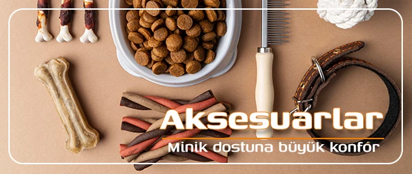 Aksesuar