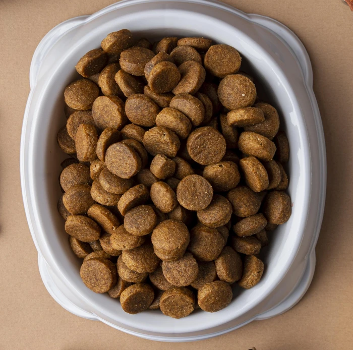 Hayvanları Sev ve Koru, Mama Bağışı Yaparak Destek Ol - soa.datakale.com.tr