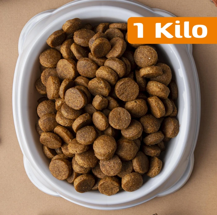 Hayvanları Koru ve Yardım Et: 1 Kilo Mama Bağışla - soa.datakale.com.tr