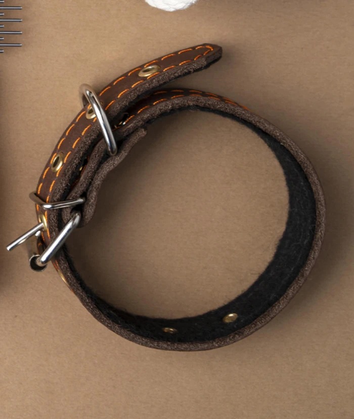 Save Our Animals Baskılı Doğal Deri Köpek Tasması - Kaliteli Kayış - soa.datakale.com.tr